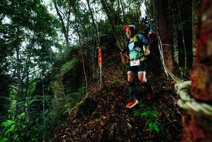 BIB: 
                            <button type="button" onclick="openModal(26198243)" class="btn btn-primary btn-sm float-right btn-popup" data-toggle="modal" data-target=".modal-high-quality">
                        <i class="fas fa-shopping-cart"></i> Add to Cart
                    </button>
                                            <button type="button" onclick="isThisMe(26198243, true)" class="btn btn-success btn-sm float-right btn-popup btn-isme hidden" data-toggle="tooltip" data-placement="bottom" title="นี่คือรูปของคุณใช่ไหม คลิกที่นี่เพื่อเอาเข้าอัลบั้ม">
                        <i class="fas fa-plus"></i> Add to album
                    </button>
                    <button type="button" onclick="isThisMe(26198243, false)" class="btn btn-warning btn-sm float-right btn-popup btn-isnotme hidden">
                        <i class="fas fa-ban"></i> Remove from album
                    </button>